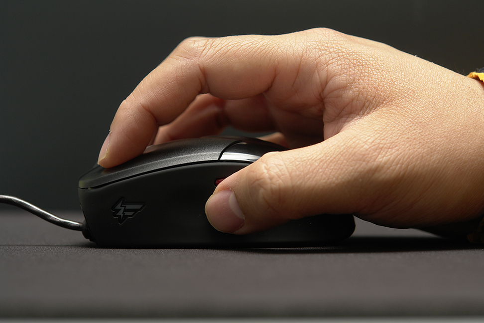 fat_mouse.jpg