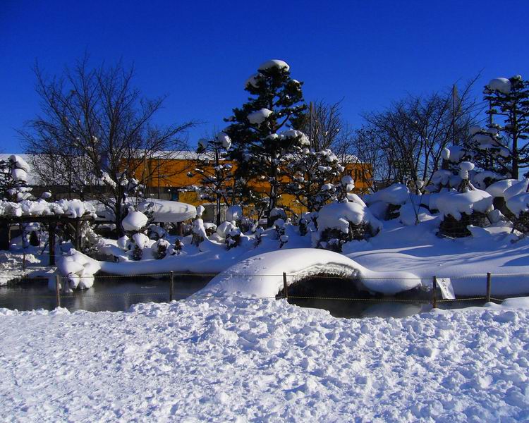 03.jpg