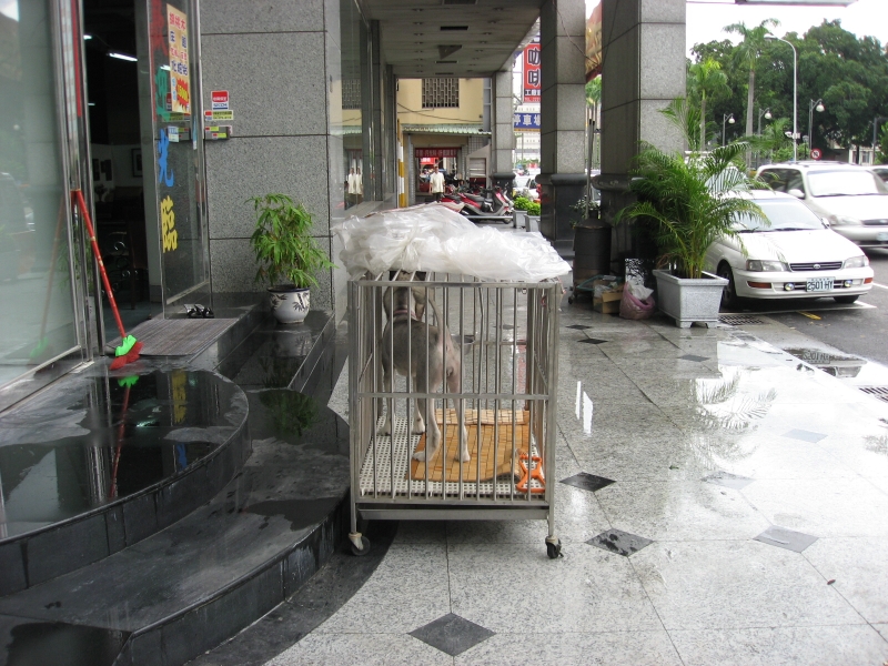 山本屁屁~~~