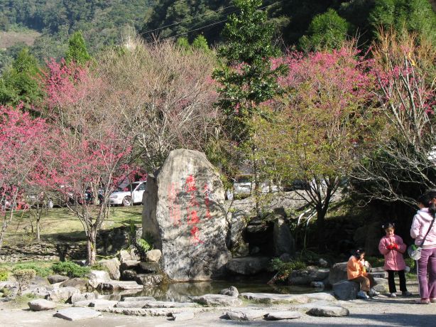 廬山溫泉造景池