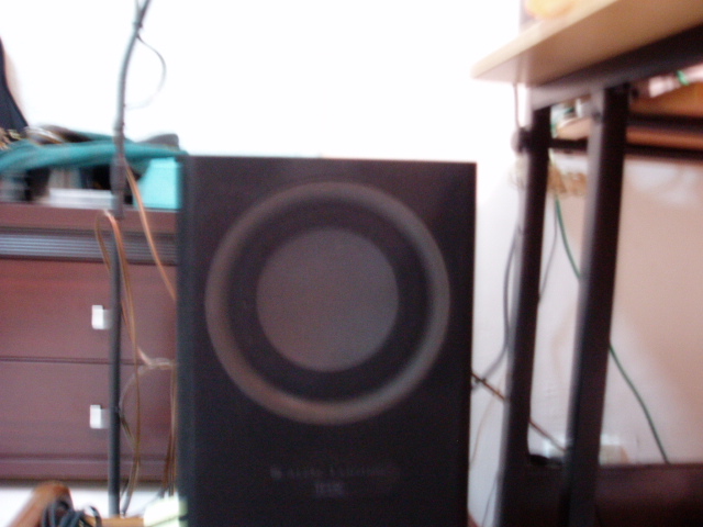 P1010003.JPG