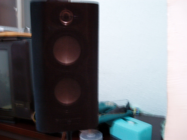 P1010001.JPG
